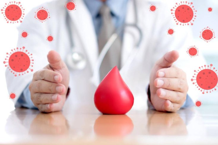 Enhance Your Blood Health to Prevent Anemia