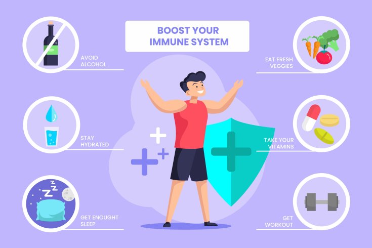 Boosting Your Immune System Through Diet